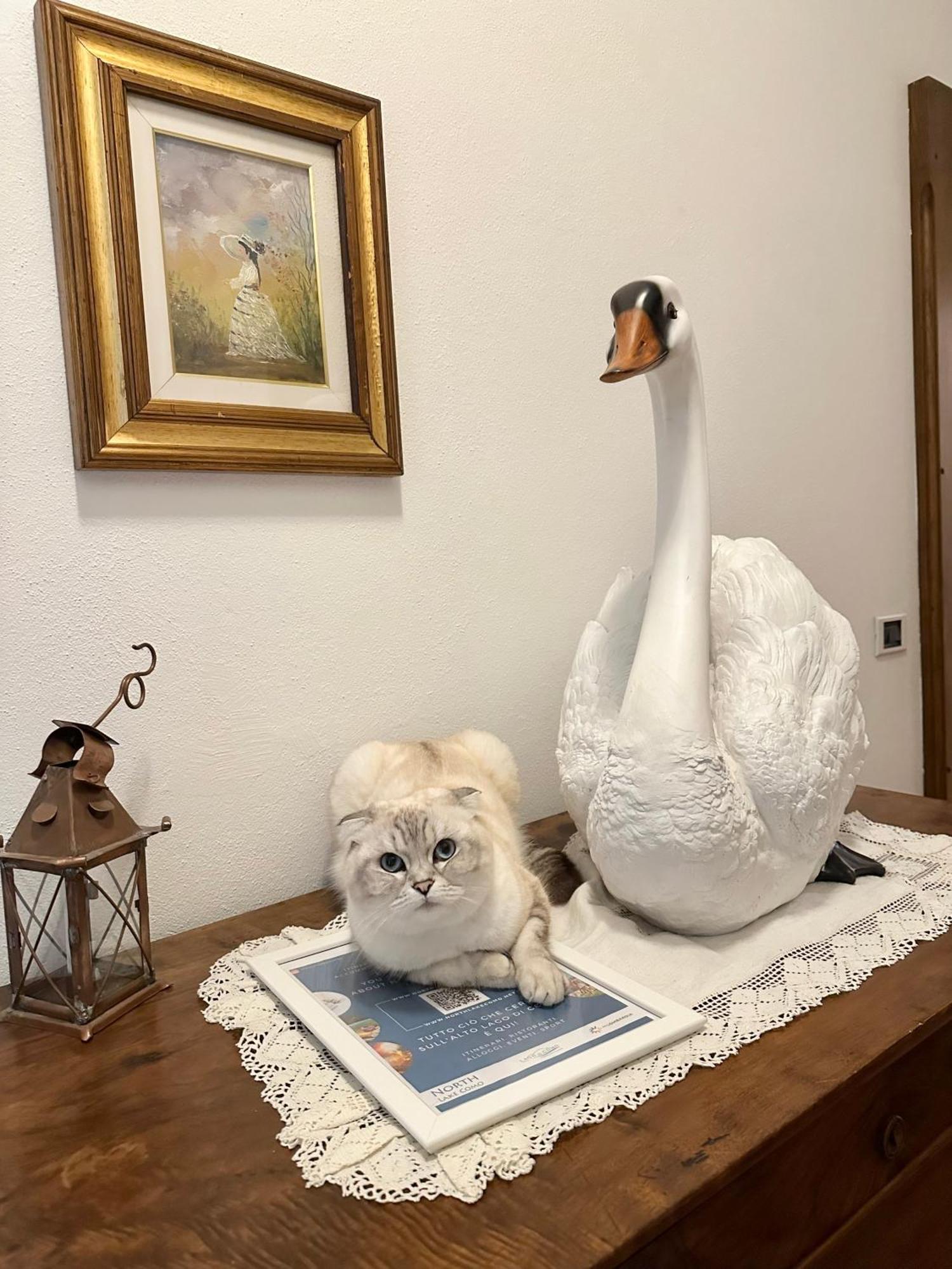 B&B La Dolce Casa Lago Di Como Cremia Zewnętrze zdjęcie