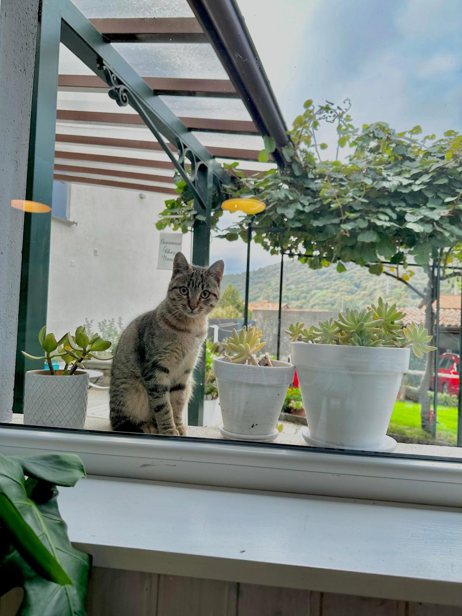 B&B La Dolce Casa Lago Di Como Cremia Zewnętrze zdjęcie